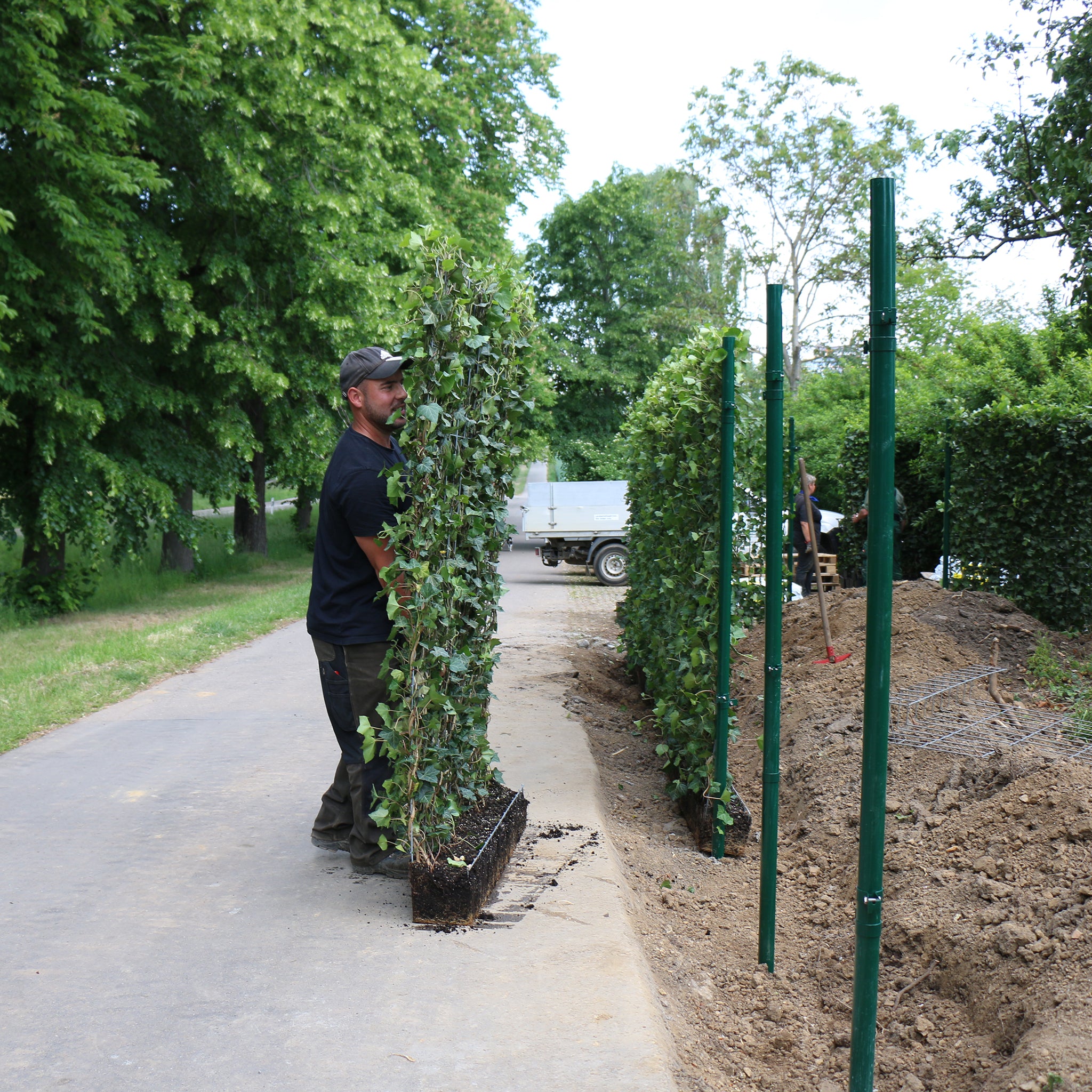 'Hecke am laufenden Meter®' - Halterungen und Pfosten